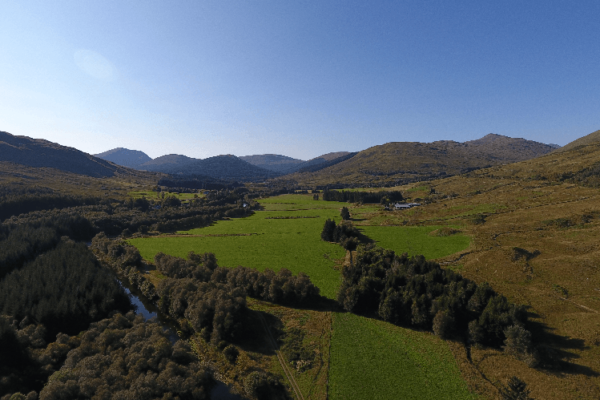 Green fields landscape