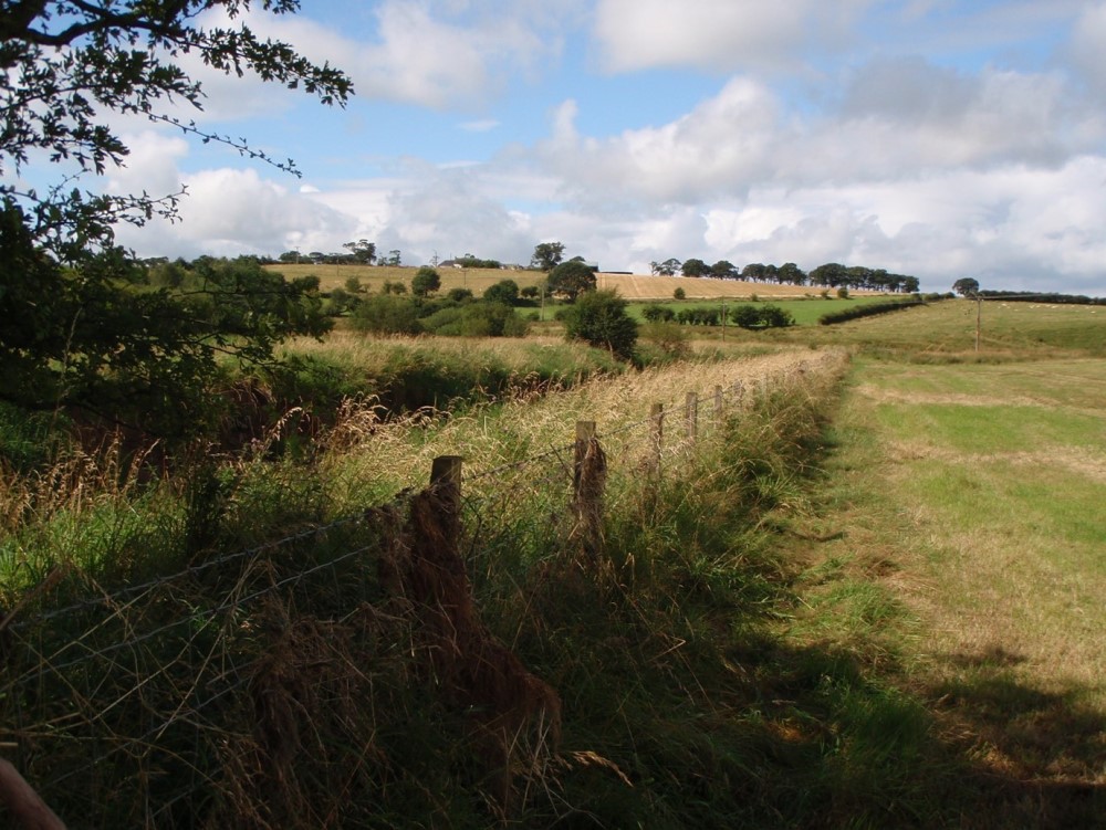 buffer zone a hedgerow around a field