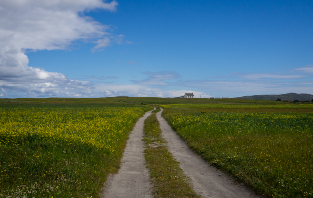 Road through Machair Road through Machair