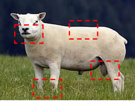 A tup with areas highlighted