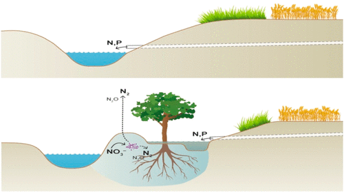 Figure 1: 3D buffer schematic, Zak et al. (2018) Environ. Sci. Technol. 11, 6508-17  [5]