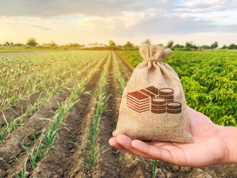 Moneybag Farm Image from iStock