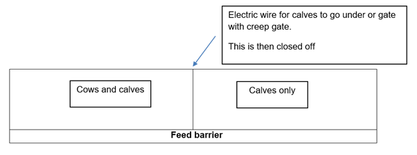 Weaning beef 4