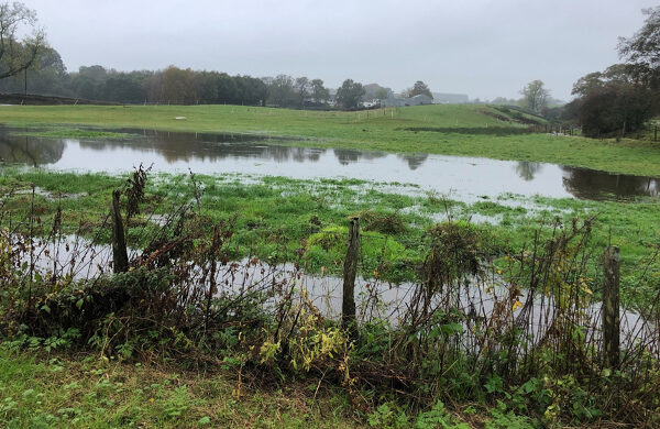 Flooded fields Flooded fields