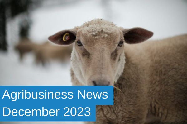 Agribusiness News Dec 2023 (Ewe