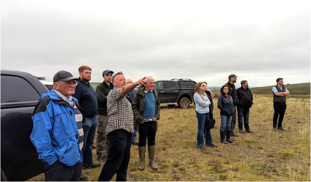 Andrew Boswell spots a hen harrier across the hill