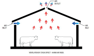 Housing Cattle - Ventilation