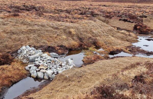 A stone dam used in wide channel which was previously eroded down to mineral layer. The eroding sides of the channel have been covered by geotextiles to stop the erosion and encourage vegetation growth. 