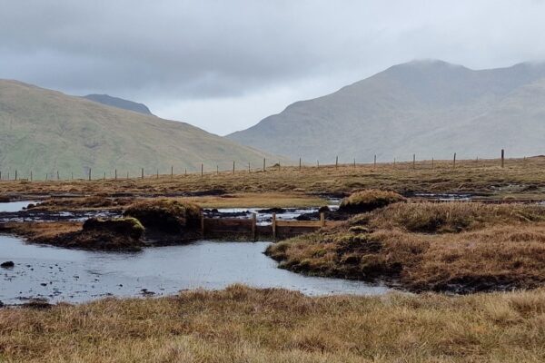 Protecting Scotland's Peatlands