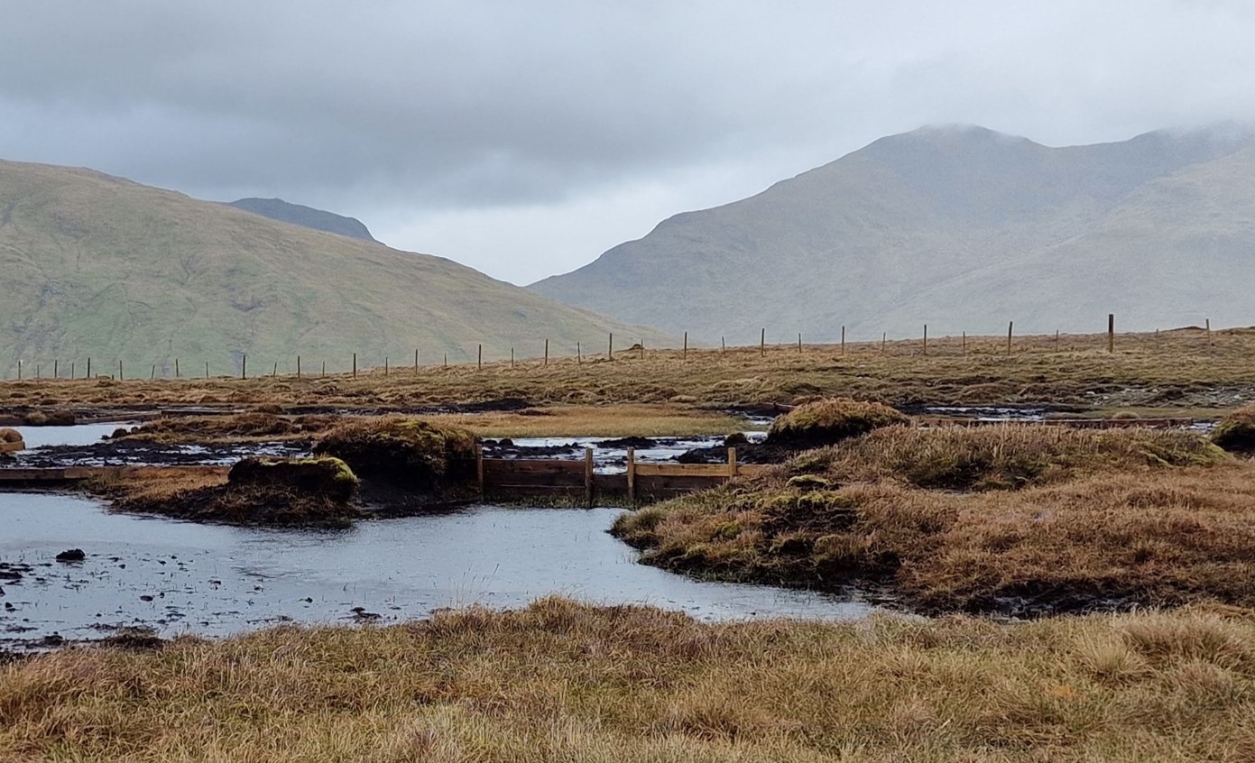 A wooden dam used to slow down waterflow to reduce erosion, increase the water table and encourage vegetation growth while preventing the creation of large and deep water pools.