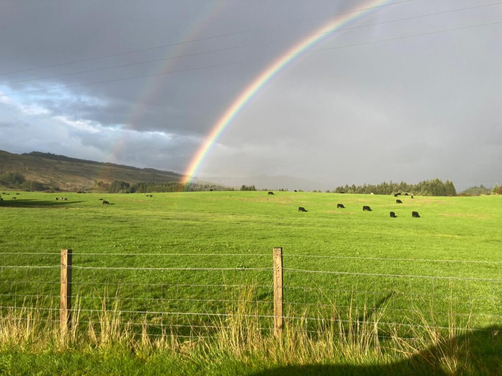 Rainbow over a field