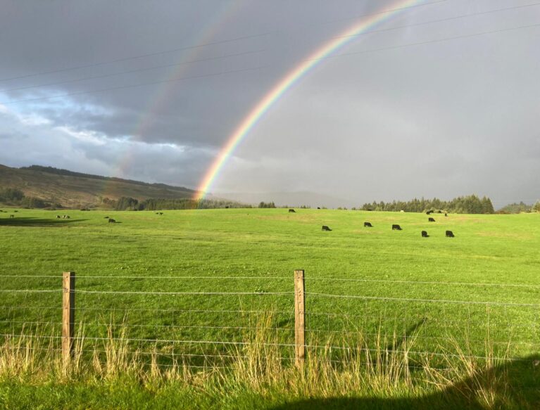 Rainbow over a field