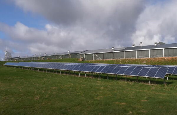 Row of solar panels in a field in front of farm sheds