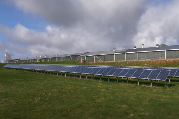 Row of solar panels in a field in front of farm sheds