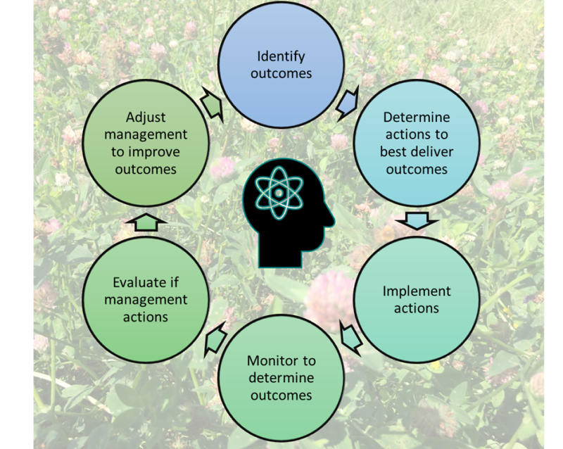 AECS Outcome Based Approaches