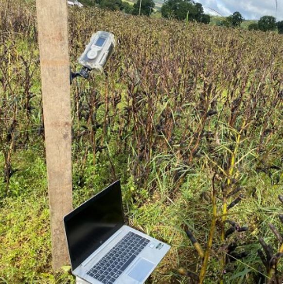 Camera Filming Field