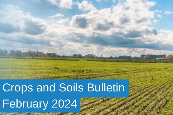 Crops and Soils Bulletin Feb2024