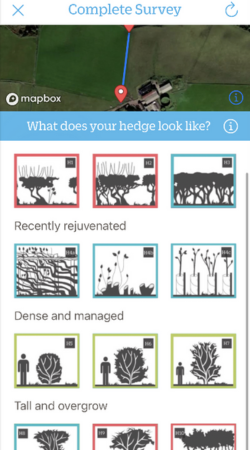 Hedgerow App