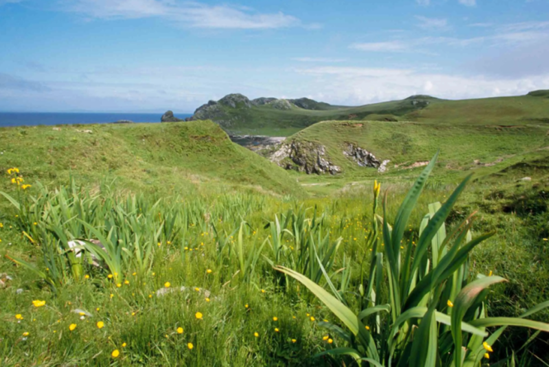 Chough habitat on Kinnabus Farm Chough Habitat on Kinnabus Farm