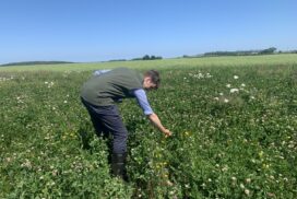 Assessing Biodiversity on Farm