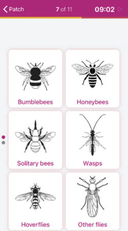 Pollinator App