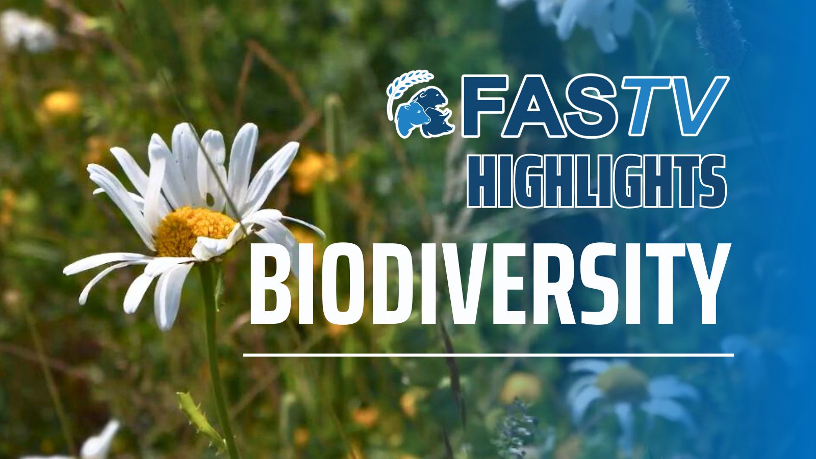 FAS TV Highlights Thumbnails Biodiversity