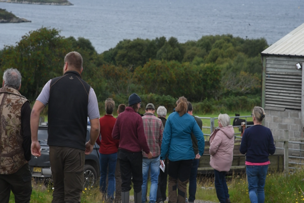 Crofting Discussion Groups