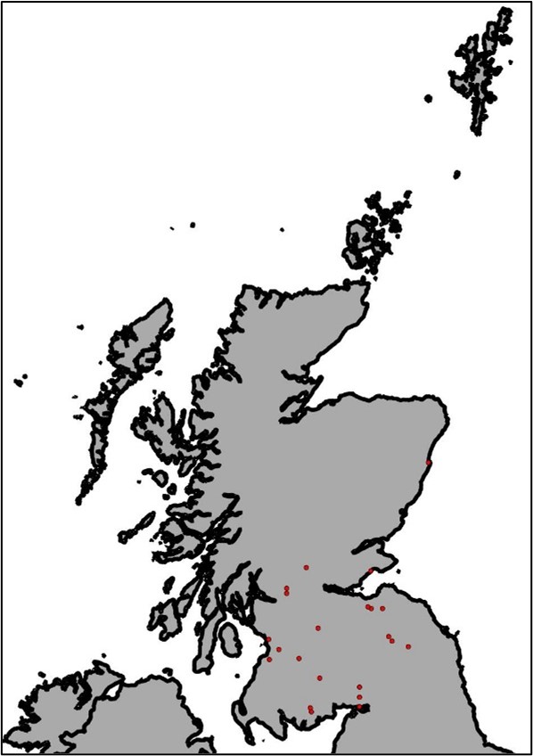 whiskered bat map whiskered bat map