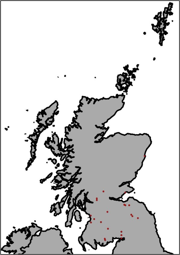 whiskered bat map