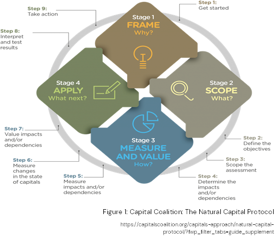 Capital Coalition NC Protocol Capital Coalition NC Protocol