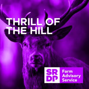 ThrilloftheHill_01_s