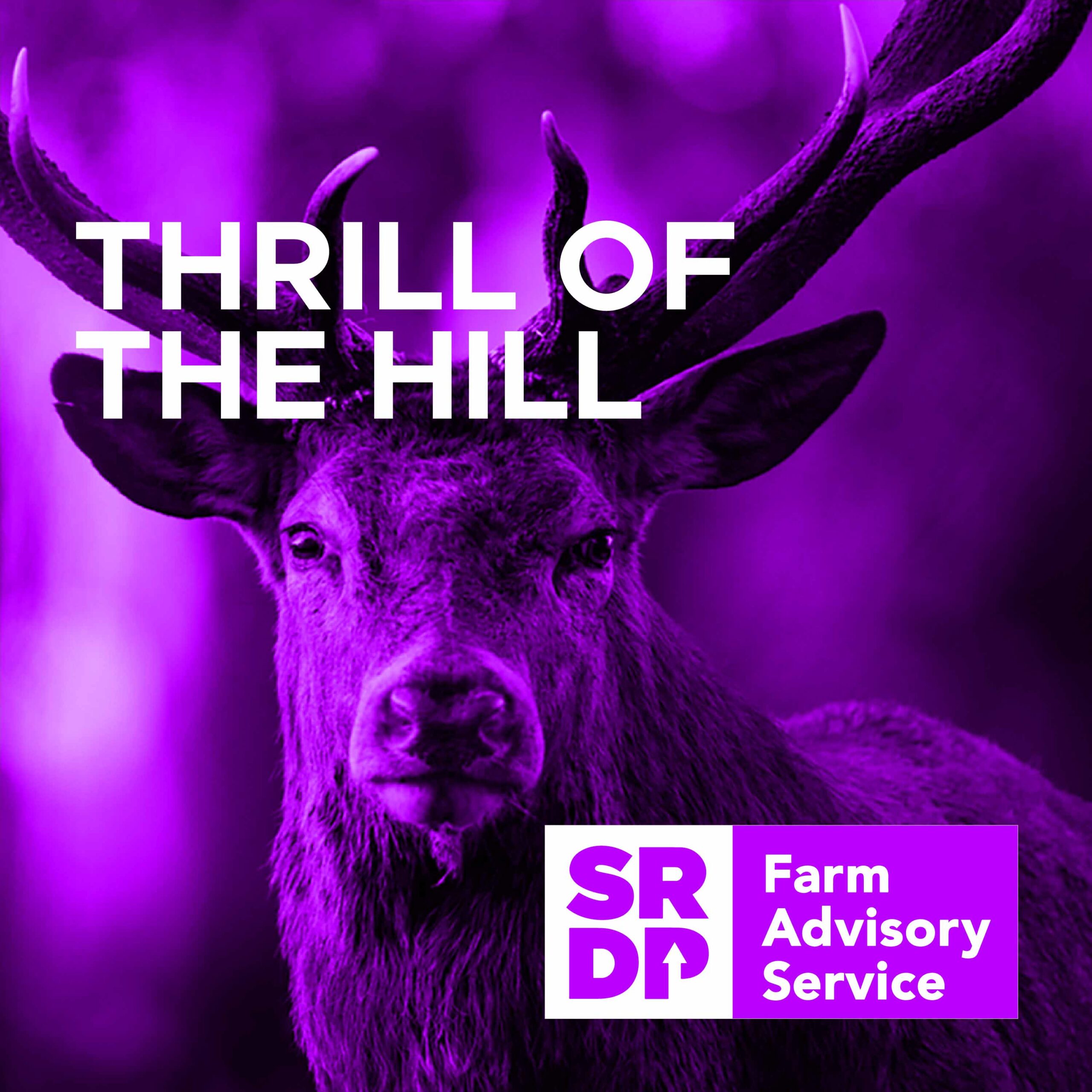 ThrilloftheHill_01_s ThrilloftheHill_01_s