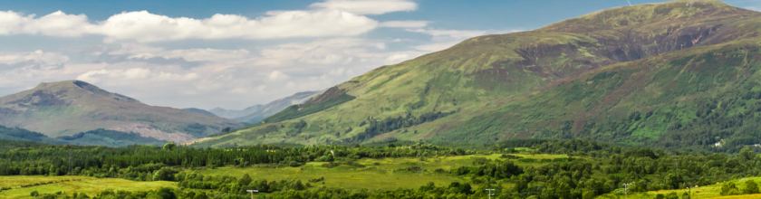 Landscape Banner Landscape Banner