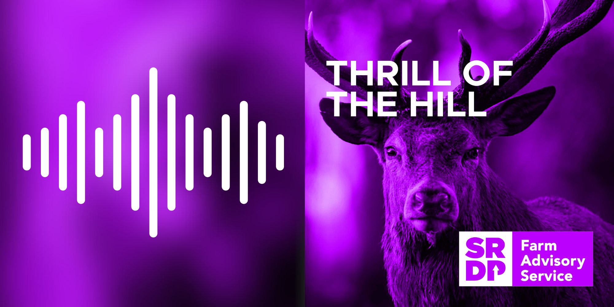 Podcast Soundwaves Thrill of the Hill New