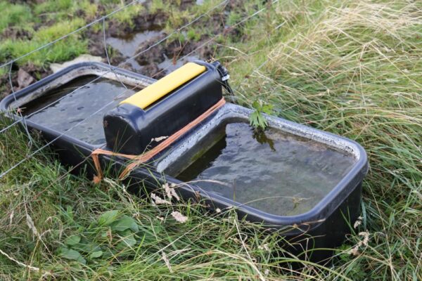 Supplying Water to Rotationally Grazed Beef Cattle | Helping farmers in ...