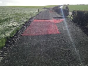 Cow Track