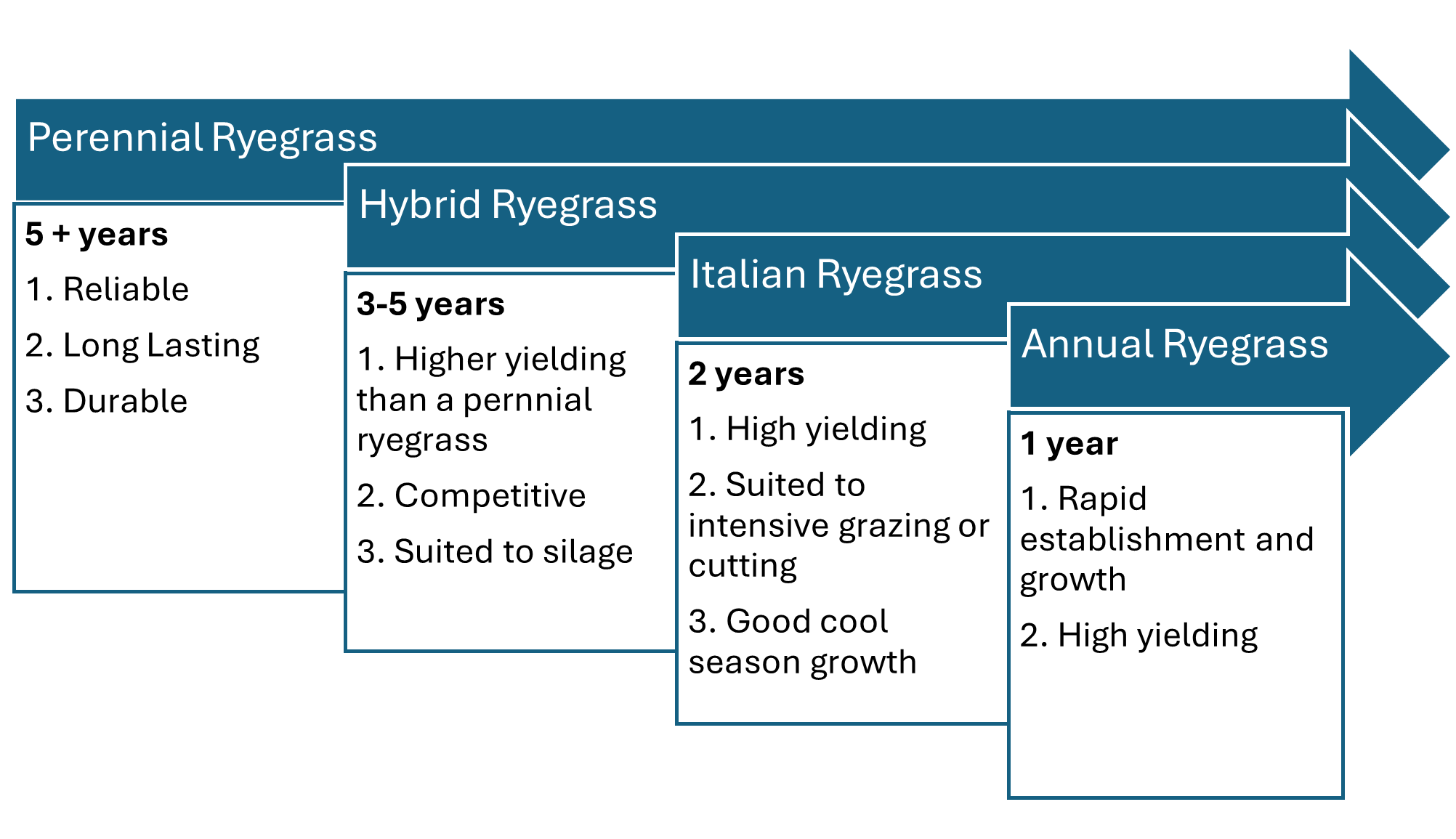 Establishing ryegrass Lifespan Establishing ryegrass Lifespan