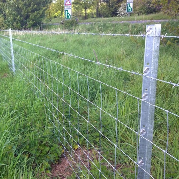Fencing Fencing