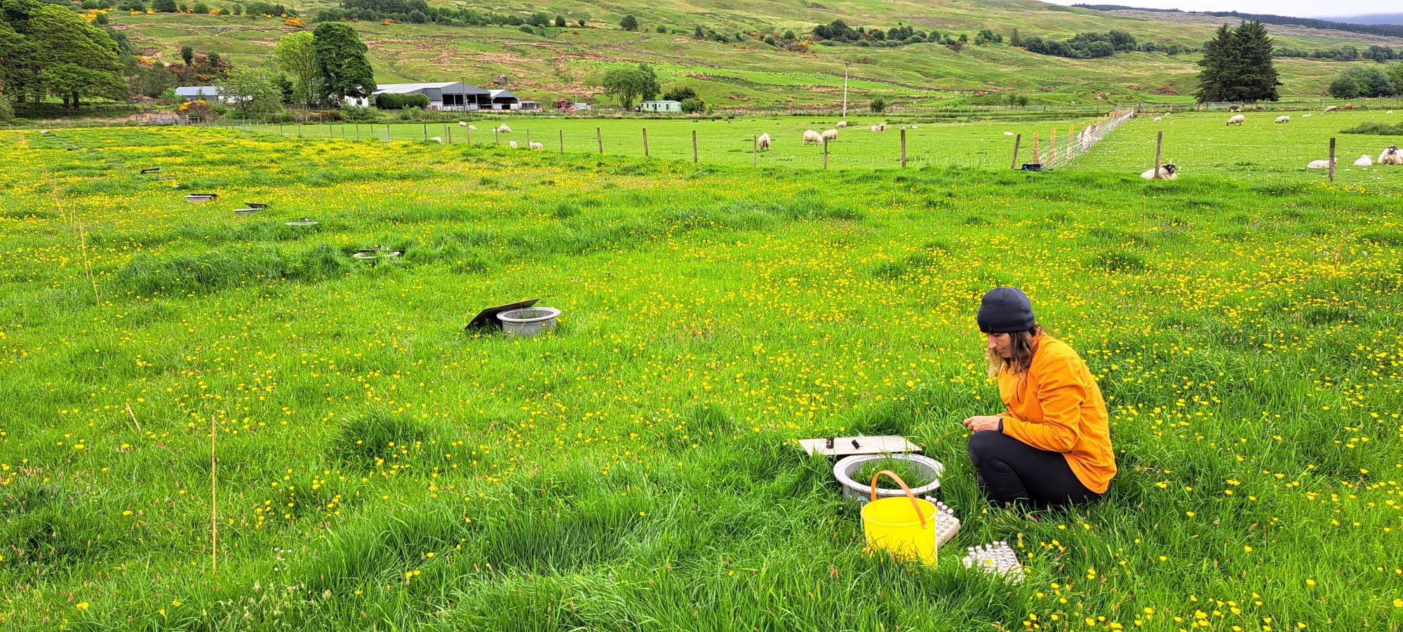 Kirkton plots with chamber sampling_Carolina Kirkton plots with chamber sampling_Carolina
