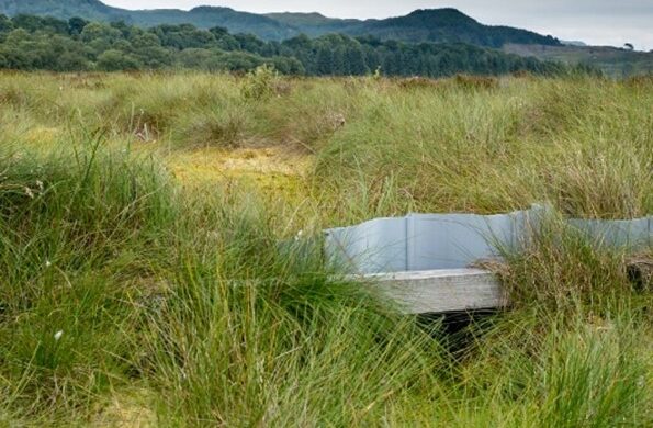 Ditch blocking to hold water on the bog area