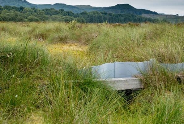 Ditch blocking to hold water on the bog area