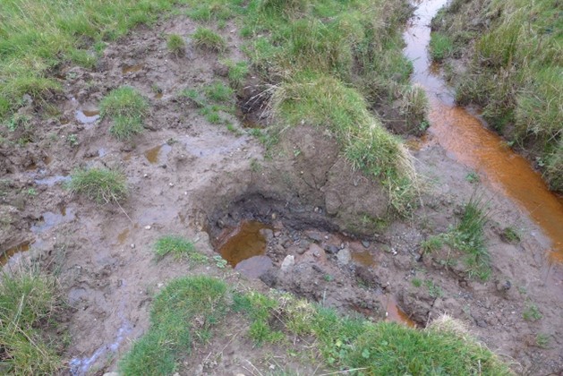 Picture2 Damaged water margin