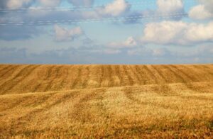 Stubble Field
