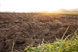 Plowed field soil