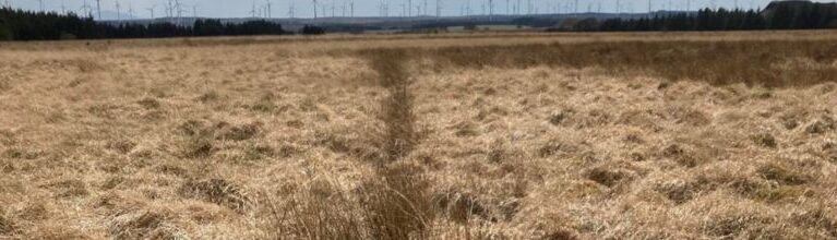 Website Banner - Natural Capital Definitions (1)