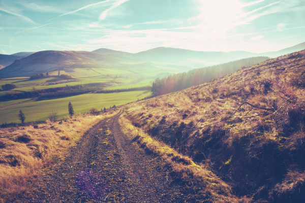 Title Feb ABN 2025 Road through hills