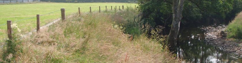 Website Banner - Natural Capital Definitions (2) Website Banner - Natural Capital Definitions (2)