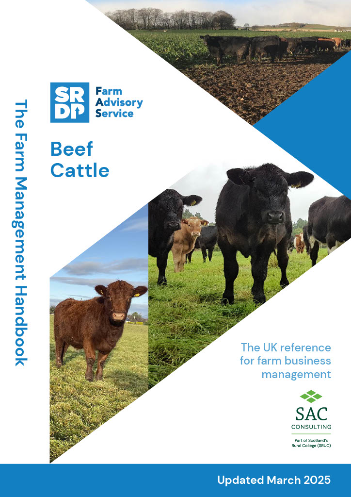 FMH Beef March 2025