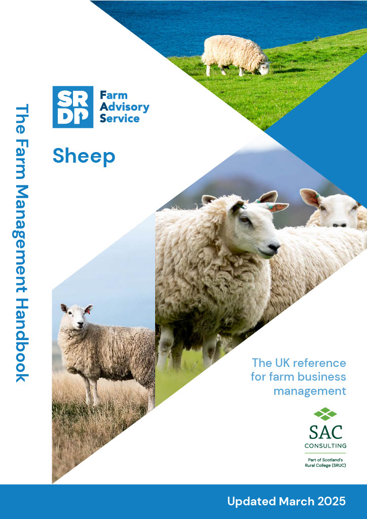 FMH Sheep March 2025