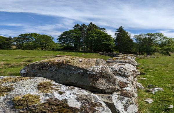 Dry stone wall